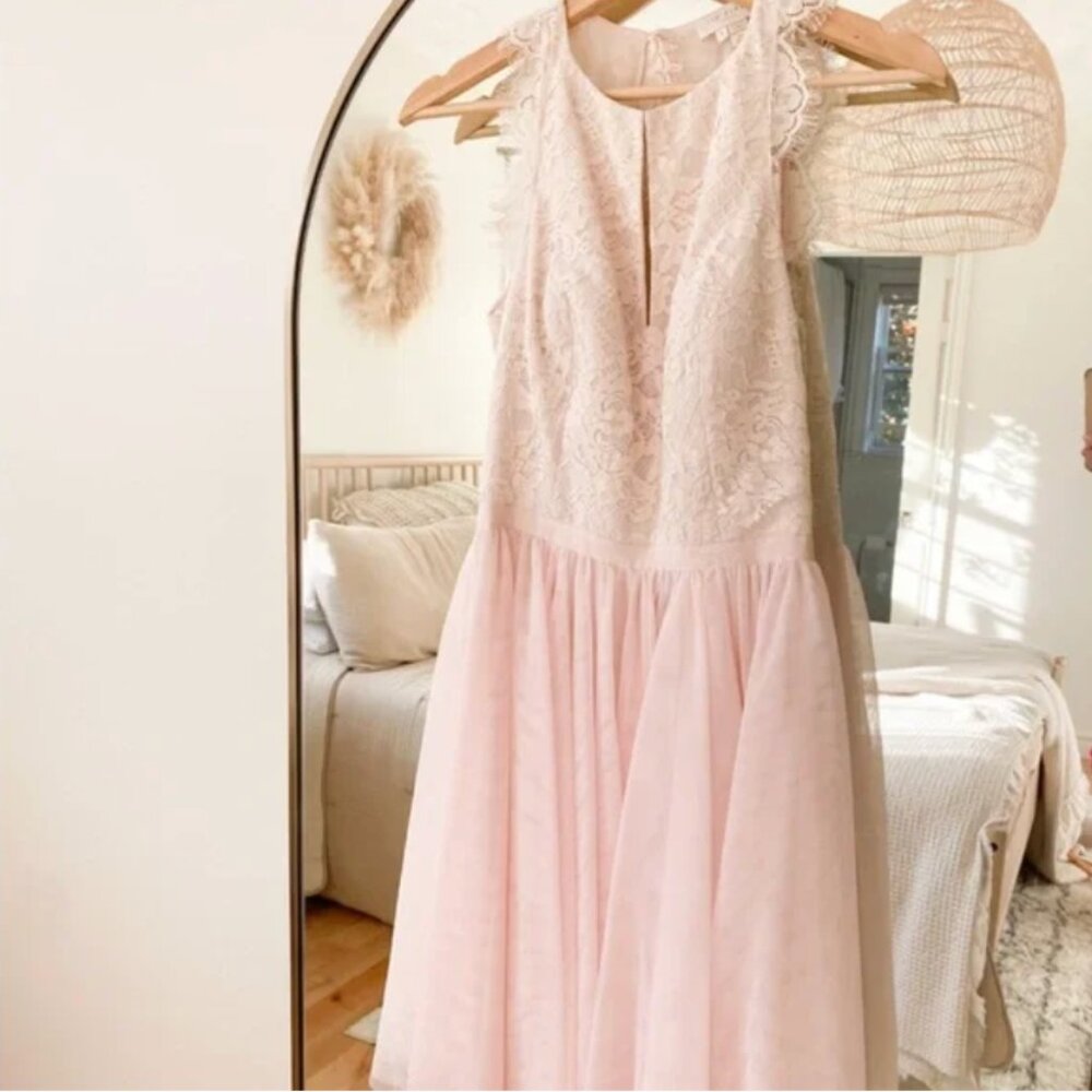 Ted Baker Pitara open back lace tulle dress light pink blush size 3 nwt - Picture 3 of 6